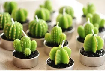 100PCS Wedding Favors Party Valentine's Gifts Shower Cactus Candle Decoration Free Shipping
100PCS Wedding Favors Party Valentine's Gifts Shower Cactus Candle Decoration Free Shipping