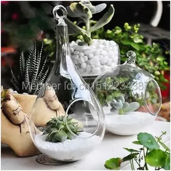Hair Moss Meaty Plant Vase Micro Landscape Bottles Tabletop Vase Glass & Crystal Zakka Originality Free Shipping Hanging Flower
Hair Moss Meaty Plant Vase Micro Landscape Bottles Tabletop Vase Glass & Crystal Zakka Originality Free Shipping Hanging Flower