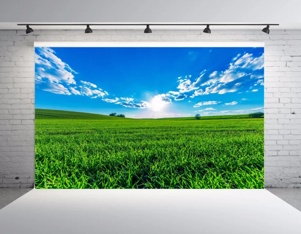 SHANNY Vinyl Custom Summer theme Photography Backdrops Prop Photo Studio Background YHSHD-15
SHANNY Vinyl Custom Summer theme Photography Backdrops Prop Photo Studio Background YHSHD-15