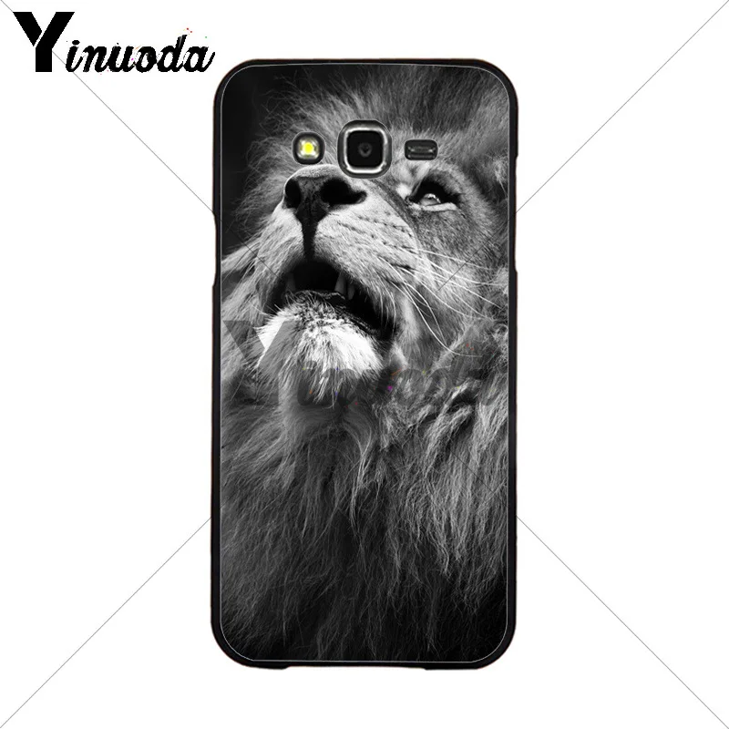 Animals The lion