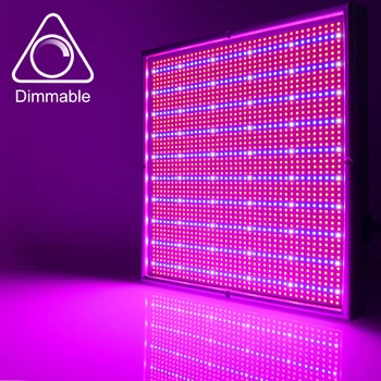 2000 LEDs Grow Light With Dimmer Full Spectrum 200W Panel Grow Lamp for Greenhouse Horticulture Indoor Plants Flowering Growing
2000 LEDs Grow Light With Dimmer Full Spectrum 200W Panel Grow Lamp for Greenhouse Horticulture Indoor Plants Flowering Growing
