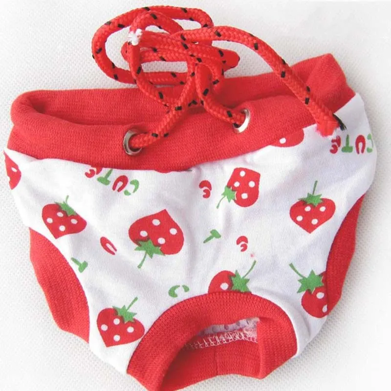Teddy Cartoon Dog Physiological Pants Diaper Sanitary Washable Female Menstruation Healthy Sanitary Underwear Briefs For Dogs20E
Teddy Cartoon Dog Physiological Pants Diaper Sanitary Washable Female Menstruation Healthy Sanitary Underwear Briefs For Dogs20E