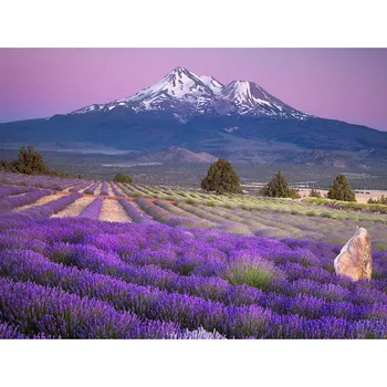 5D DIY round Diamond embroidery Lavender field Square diamond Painting Cross Stitch Rhinestone Mosaic Home decoration gift v758
5D DIY round Diamond embroidery Lavender field Square diamond Painting Cross Stitch Rhinestone Mosaic Home decoration gift v758