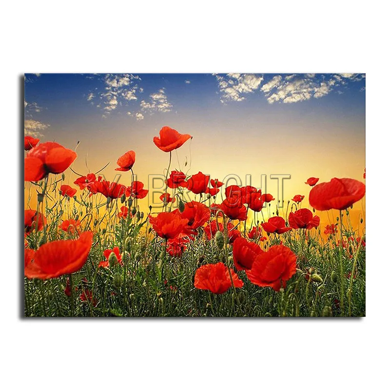 Full Round Diamond mosaic sunset poppy Full Square Diamond embroidery Cross stitch flower DIY 3D Diamond painting Poppies
Full Round Diamond mosaic sunset poppy Full Square Diamond embroidery Cross stitch flower DIY 3D Diamond painting Poppies