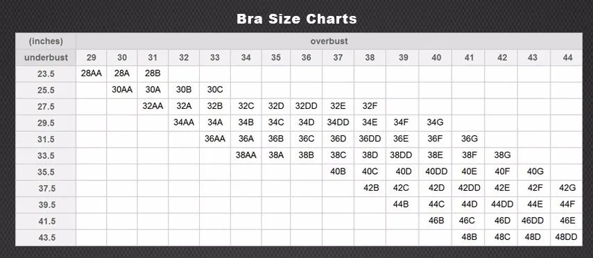 Hentai Breast Size Chart Telegraph