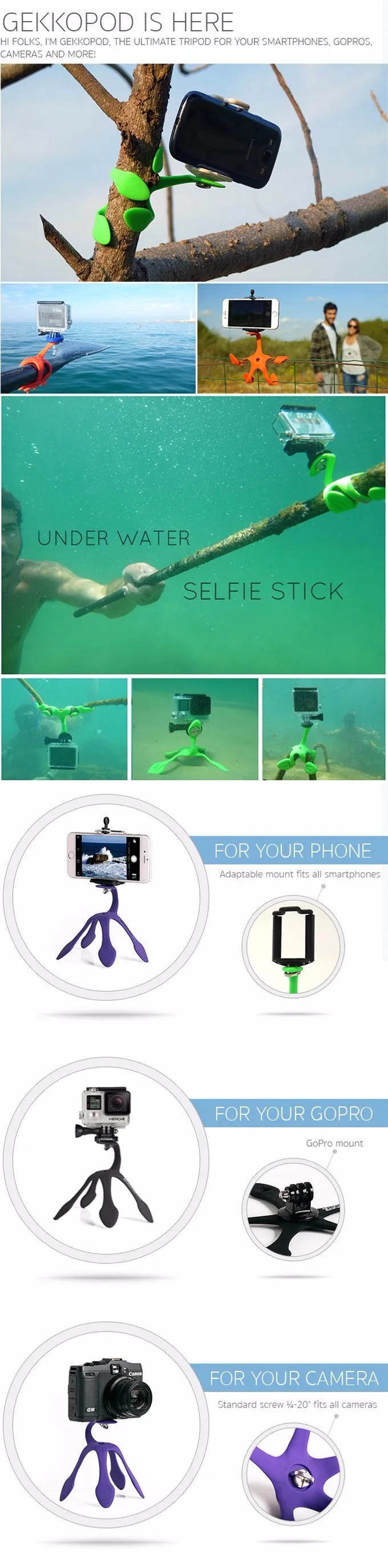 f284d2de5be87779a40bfe40d6972b06_original