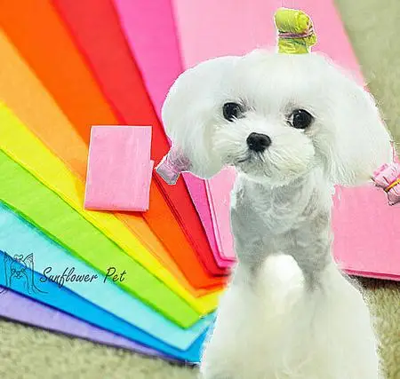 200PC/Lot Candy Colors Puppy Dog Hair Paper Bag For Maltese Yorkshire Dog Grooming Accessories
200PC/Lot Candy Colors Puppy Dog Hair Paper Bag For Maltese Yorkshire Dog Grooming Accessories