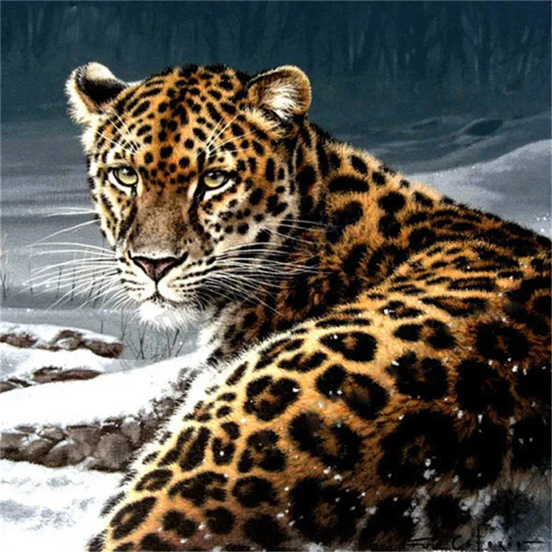 Peter ren Diy Diamond painting cross stitch animal 3d Square or Round diamond mosaic Full Diamond embroidery Snowy leopard
Peter ren Diy Diamond painting cross stitch animal 3d Square or Round diamond mosaic Full Diamond embroidery Snowy leopard