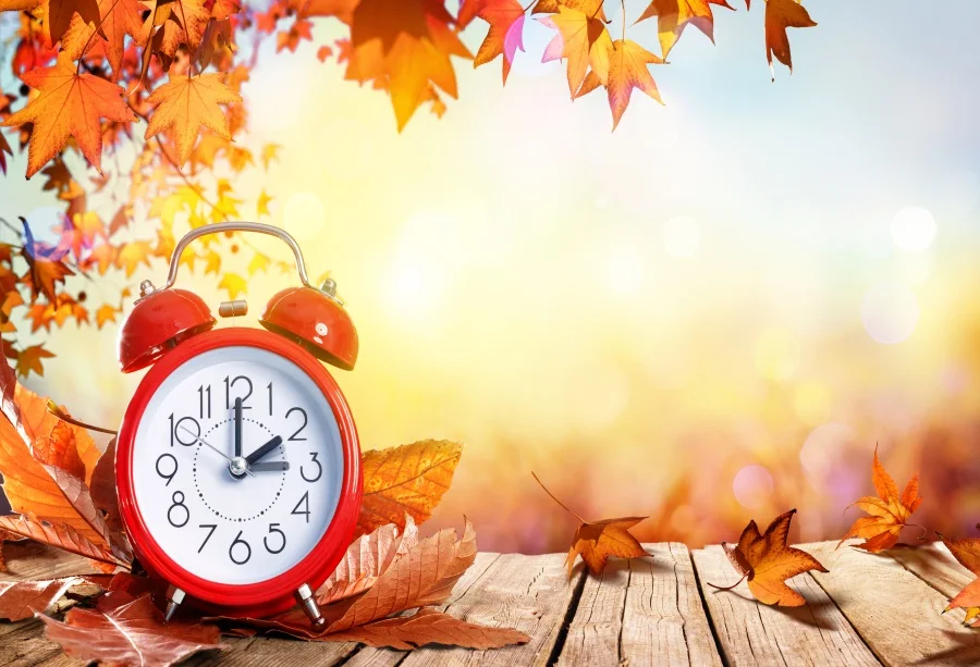 Laeacco Autumn Leaves Clock Board Photography Backgrounds Digital Customized Photographic Backdrops For Photo Studio
Laeacco Autumn Leaves Clock Board Photography Backgrounds Digital Customized Photographic Backdrops For Photo Studio