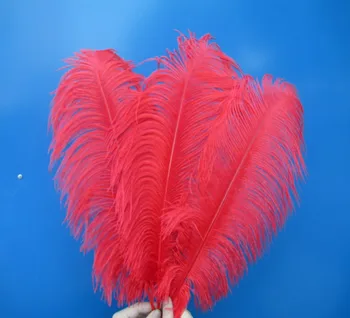 Manufacturers sell 10 pcs high quality red ostrich feathers 24-26 inch 60-65 cm Wedding decoration
Manufacturers sell 10 pcs high quality red ostrich feathers 24-26 inch 60-65 cm Wedding decoration
