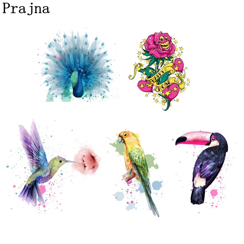 Prajna Animal Toucan Hummingbird Heat Transfer Bird Parrot PVC Vinyl Transfer Peacock Blue Patch Cannibal Flower Sticker New Hot
Prajna Animal Toucan Hummingbird Heat Transfer Bird Parrot PVC Vinyl Transfer Peacock Blue Patch Cannibal Flower Sticker New Hot
