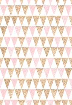 VinylBDS Backgrounds Photo Studio Light-Colored Triangle For Children Kate Photographic Background Pink Photography Backdrops
VinylBDS Backgrounds Photo Studio Light-Colored Triangle For Children Kate Photographic Background Pink Photography Backdrops