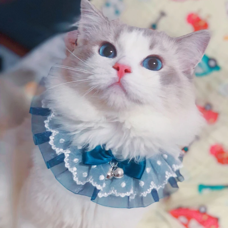 Pet New Fashion Goods for Dog Collars for Small Dogs Bow Handmade Lace Necktie Puppy Accessories Lovely Cat Collar
Pet New Fashion Goods for Dog Collars for Small Dogs Bow Handmade Lace Necktie Puppy Accessories Lovely Cat Collar
