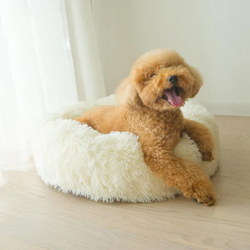 Soft Pet Dog Bed for Small Dogs Kennel House Winter Warm Plush Puppy Nest Sofa Mat Cushions Pet Supplies Sleeping Winter
Soft Pet Dog Bed for Small Dogs Kennel House Winter Warm Plush Puppy Nest Sofa Mat Cushions Pet Supplies Sleeping Winter