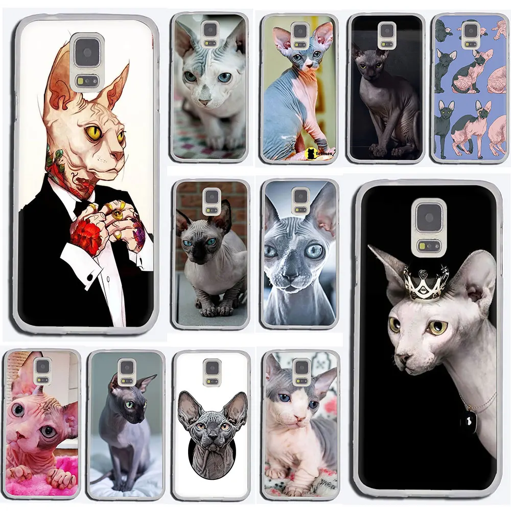 sphynx cat Hard phone cover case for Samsung Galaxy S6 7 Edge S8 9 10 Plus Note 10 8 9 M10 20 30
sphynx cat Hard phone cover case for Samsung Galaxy S6 7 Edge S8 9 10 Plus Note 10 8 9 M10 20 30