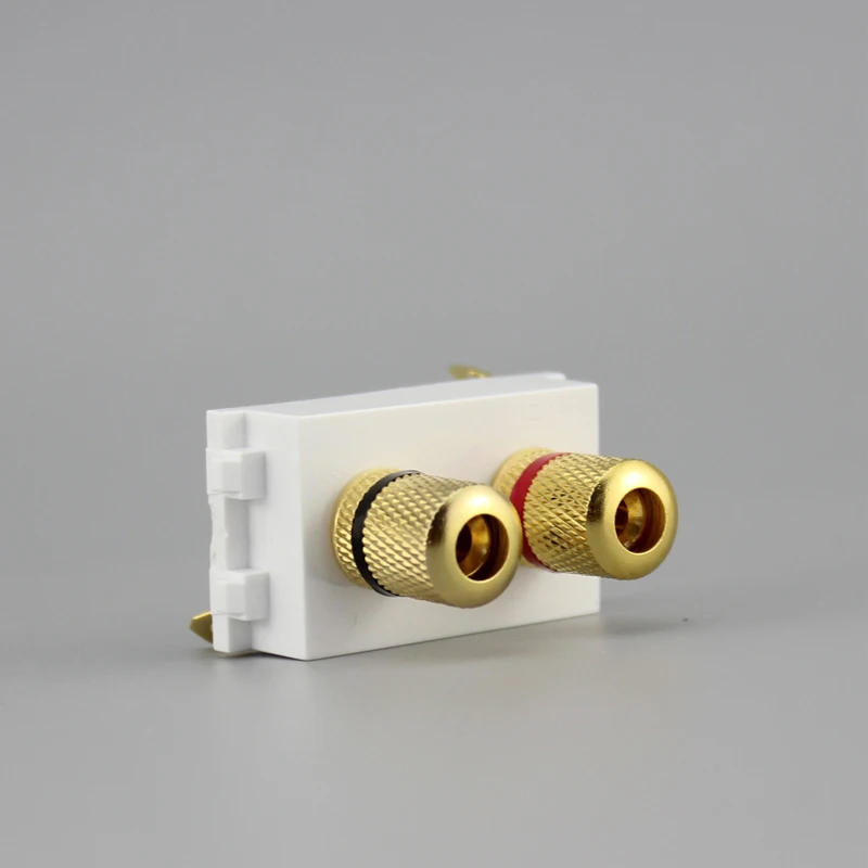Golden Speaker Plug Socket Slot Left Right Channel Hifi Connector For Blank Wall Panel Outlet
Golden Speaker Plug Socket Slot Left Right Channel Hifi Connector For Blank Wall Panel Outlet