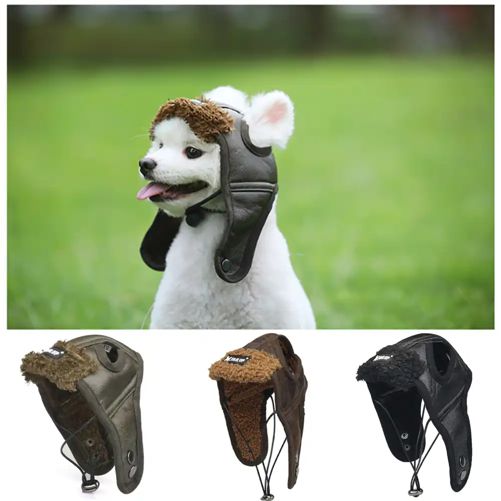 dog pilot hat