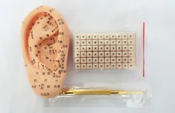 Elastic pure copper auricular probe pen+Ear mold +Auricular point chart+600pcs king does not leave the seed ear point stick
Elastic pure copper auricular probe pen+Ear mold +Auricular point chart+600pcs king does not leave the seed ear point stick