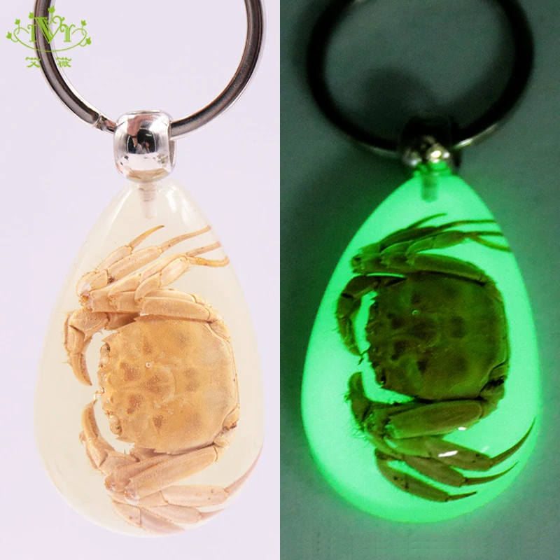 Natural Crab Keychain Glow-in-the-Dark Real Insect Keychain Beetle Key Ring Specimens Collecting Trinket Keychains for Men IVR
Natural Crab Keychain Glow-in-the-Dark Real Insect Keychain Beetle Key Ring Specimens Collecting Trinket Keychains for Men IVR