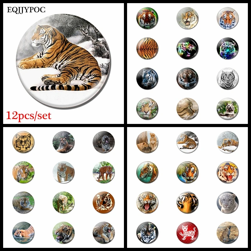 25 MM 12pcs/set Glass Fridge Magnet Set Exquisite Tiger Pattern Crystal Magnetic Refrigerator Sticker Kitchen Accessories Decor
25 MM 12pcs/set Glass Fridge Magnet Set Exquisite Tiger Pattern Crystal Magnetic Refrigerator Sticker Kitchen Accessories Decor