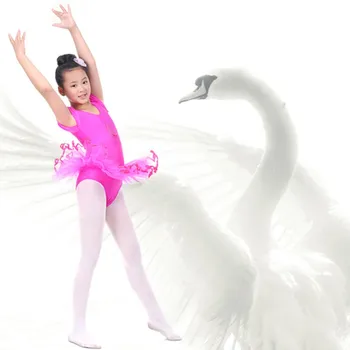 New Fashion Style 3-7Y Child Girls Traning Gymnastics Ballet Tutu Leotard Short Sleeve Dance Dress S4
New Fashion Style 3-7Y Child Girls Traning Gymnastics Ballet Tutu Leotard Short Sleeve Dance Dress S4