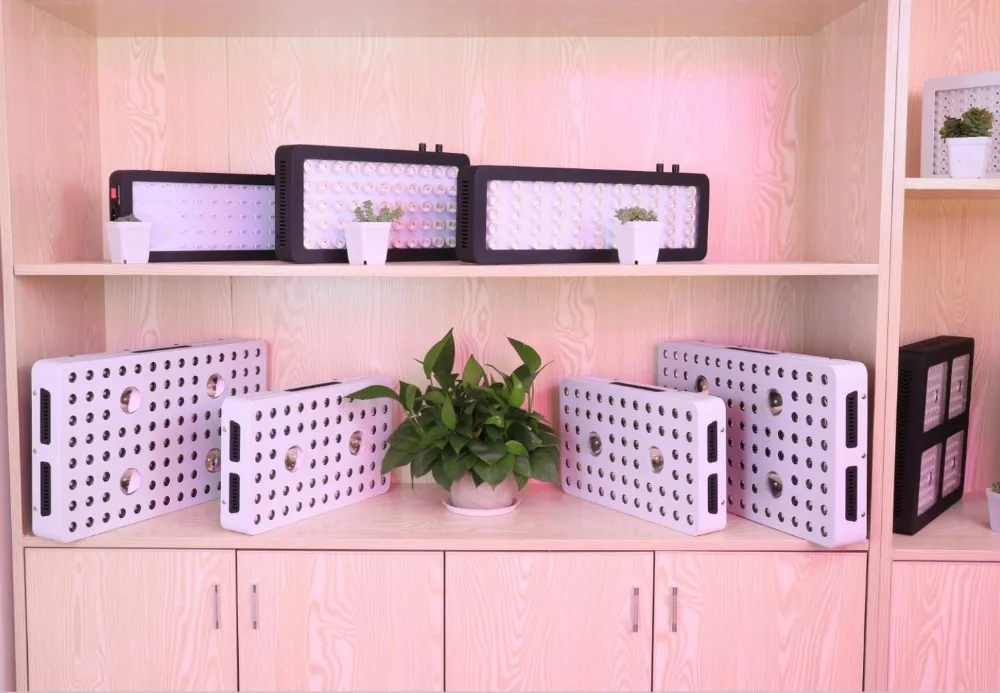 showroom2