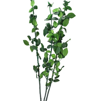 50pcs Preserved flowers bouquet DIY material handmade preserved fresh rose flower branches stem leaves long 40-50cm
50pcs Preserved flowers bouquet DIY material handmade preserved fresh rose flower branches stem leaves long 40-50cm
