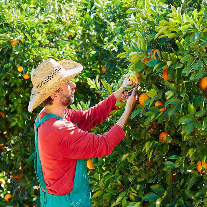 QQ20170425170910