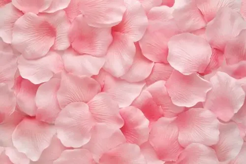 5x7ft Beautiful pink flowers Art photography computer Printing background for studio backdrop
5x7ft Beautiful pink flowers Art photography computer Printing background for studio backdrop