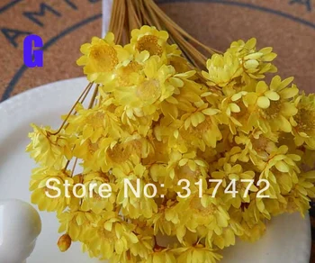 Freeshipping! 100pcs Yellow dry flower stuff fit glass vials glass bottle glass dome glass bubble (you can also mix them)
Freeshipping! 100pcs Yellow dry flower stuff fit glass vials glass bottle glass dome glass bubble (you can also mix them)