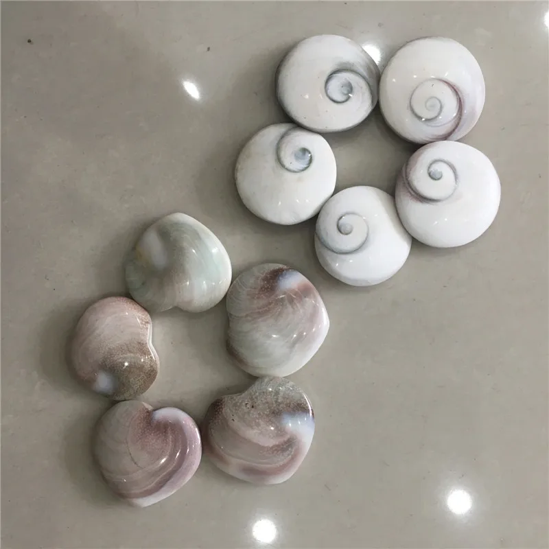 5pcs heart & 5pcs circle beautiful natural stones and minerals sun conch healing crystals for home & wall decoration
5pcs heart & 5pcs circle beautiful natural stones and minerals sun conch healing crystals for home & wall decoration