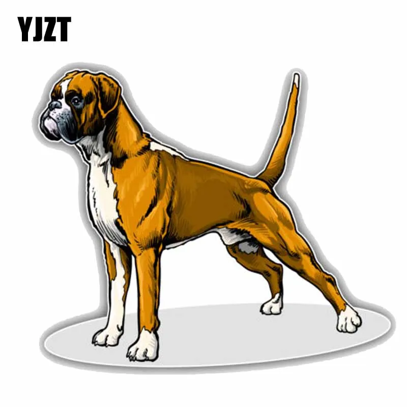 YJZT 14CMx11.8CM Lovely Boxer Breed Dog Car Decoration Bumper PVC High Quality Car Sticker C1-9078
YJZT 14CMx11.8CM Lovely Boxer Breed Dog Car Decoration Bumper PVC High Quality Car Sticker C1-9078