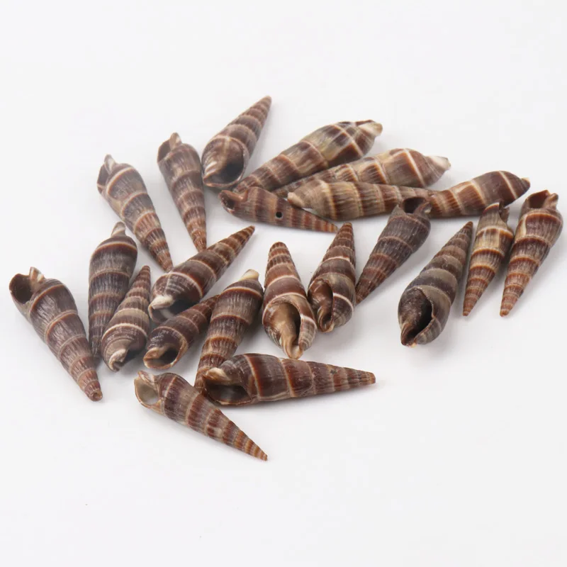 30-43mm Natural conch Spiral Shell Loose Beads for jewelry making DIY 20pcs TRS0128X
30-43mm Natural conch Spiral Shell Loose Beads for jewelry making DIY 20pcs TRS0128X
