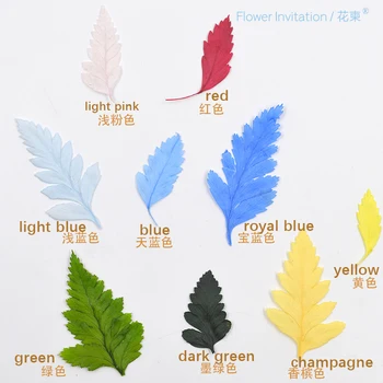 Flower Invitation High goat tooth leaf diy dried flower eternal flower leaf specimen natural plant fern
Flower Invitation High goat tooth leaf diy dried flower eternal flower leaf specimen natural plant fern