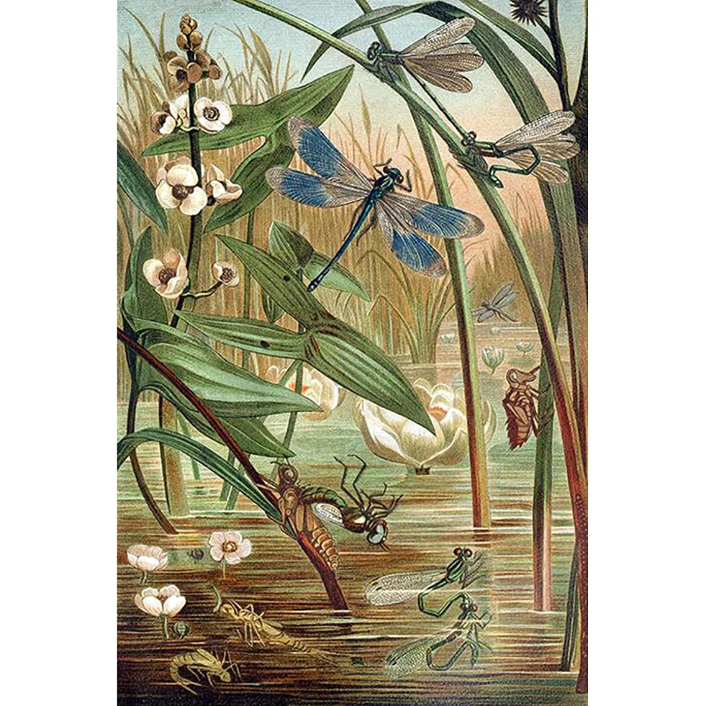 DIY 5D Full Diamond Painting Cross Stitch dragonfly Mosaic Diamond Embroidery Needlework Patterns Rhinestone kits
DIY 5D Full Diamond Painting Cross Stitch dragonfly Mosaic Diamond Embroidery Needlework Patterns Rhinestone kits