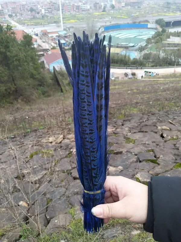 16171E6EB7381209B67111C536C3925E -