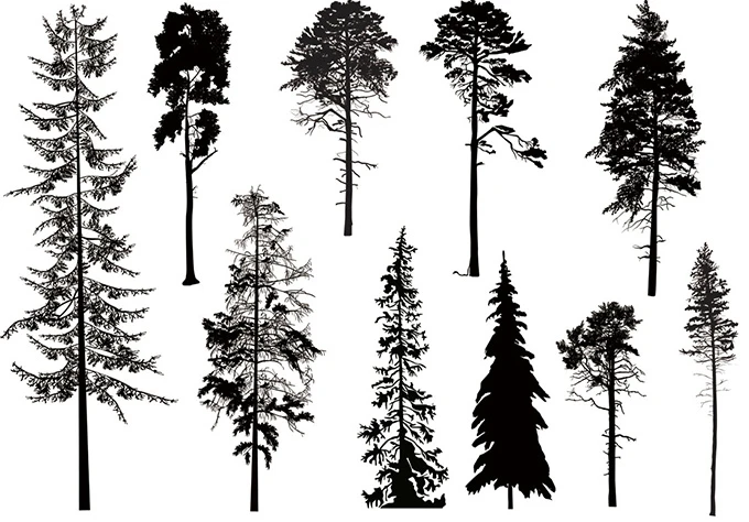 Tree stamp Clear Stamp for Scrapbooking Transparent Silicone Rubber DIY Photo Album Decor R502
Tree stamp Clear Stamp for Scrapbooking Transparent Silicone Rubber DIY Photo Album Decor R502