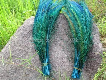 New listing! 100pcs 12-14 inches / 30-35cm Sky Blue peacock feather wedding decorations exhibit symmetrical multi-purpose DIY
New listing! 100pcs 12-14 inches / 30-35cm Sky Blue peacock feather wedding decorations exhibit symmetrical multi-purpose DIY