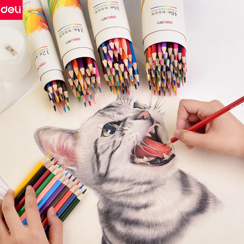 Deli No Lead EN-71 Wood Oil Color Pencil Set Artist Painting Drawing Erasable Colored Pencils School kids Sketch Art Supply
Deli No Lead EN-71 Wood Oil Color Pencil Set Artist Painting Drawing Erasable Colored Pencils School kids Sketch Art Supply