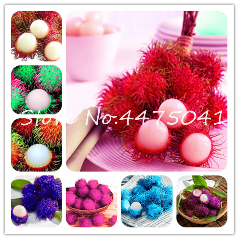 2019 New! 50 pcs Blue Rambutan Fruit Bonsai Malaysia Miracle Mix Color Fruit As Litchi Delicious Outdoor Plant Tree Free Shippin
2019 New! 50 pcs Blue Rambutan Fruit Bonsai Malaysia Miracle Mix Color Fruit As Litchi Delicious Outdoor Plant Tree Free Shippin