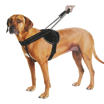 Explosion-proof Big Dog training harness Medium and large dog harness in black color
Explosion-proof Big Dog training harness Medium and large dog harness in black color