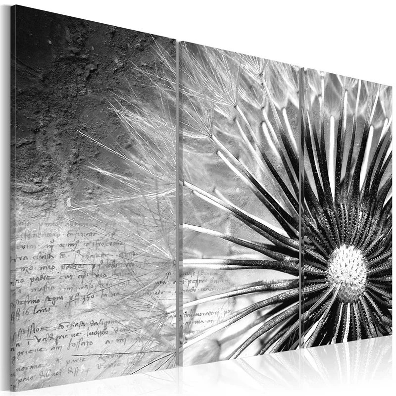 Wholesale 3 Pieces/set Dandelion series Wall Art For Wall Decor Home Decoration Picture Painting PJMT-B (150)
Wholesale 3 Pieces/set Dandelion series Wall Art For Wall Decor Home Decoration Picture Painting PJMT-B (150)
