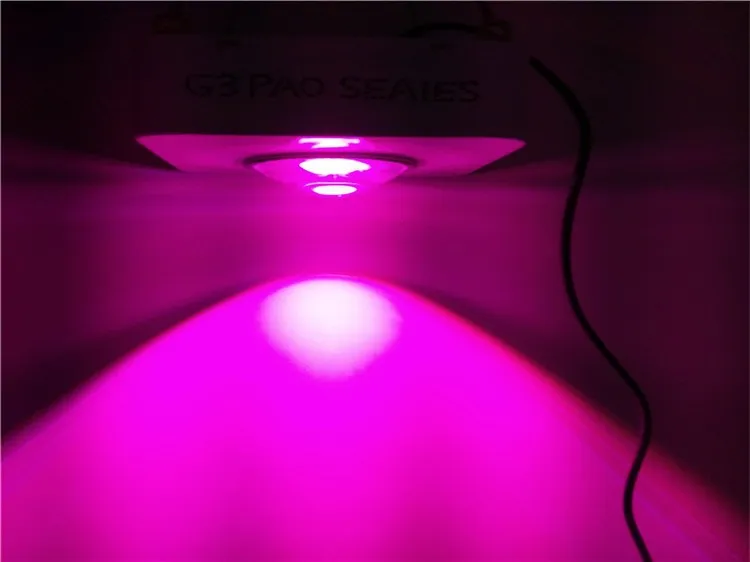 Фото 50 Вт COB Светодиодная лампа для выращивания новейшая гидропонная система с