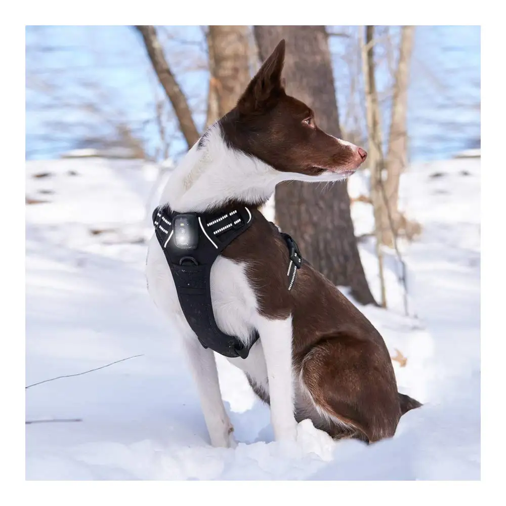 Rechargeable Black Nylon LED Flash Light No Pull Adjustable Dog Harness Reflective Safety Pet Vest For Large Dogs LED Dog Collar
Rechargeable Black Nylon LED Flash Light No Pull Adjustable Dog Harness Reflective Safety Pet Vest For Large Dogs LED Dog Collar