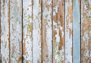 Derelic Wooden Backdrop, Ideal for photo studio portrait photography, Computer Printed Vinyl Background
Derelic Wooden Backdrop, Ideal for photo studio portrait photography, Computer Printed Vinyl Background