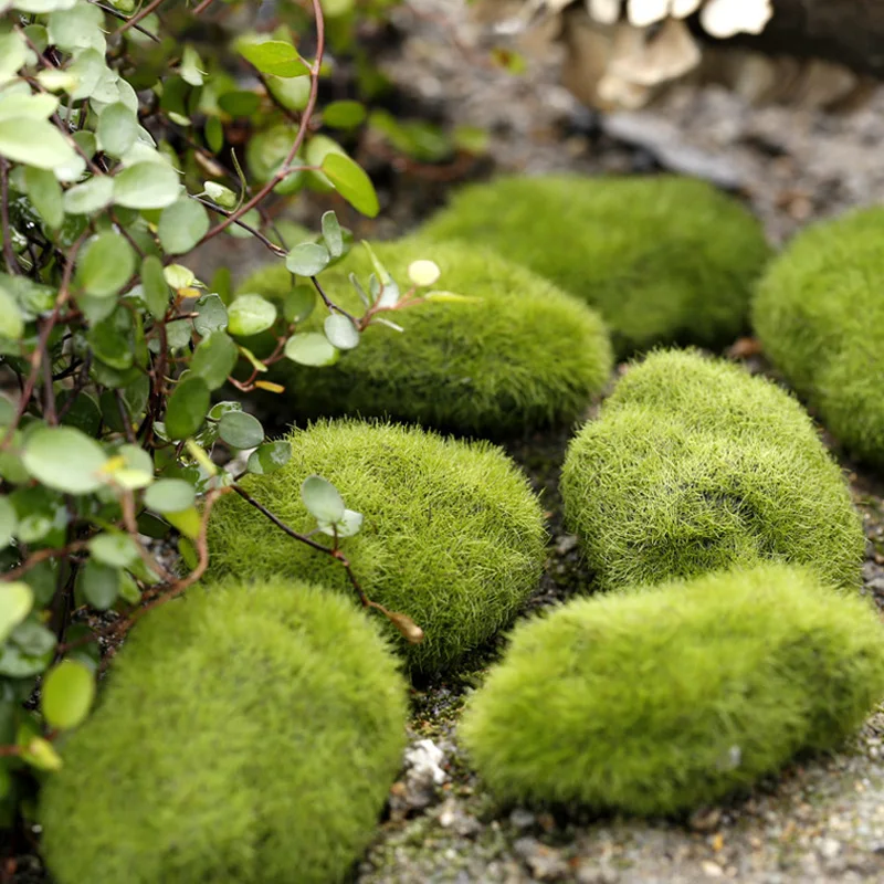 4 Size Artificial Foam Green Moss Plants Decorations Creative Home Garden Lawn Floor Adornments
4 Size Artificial Foam Green Moss Plants Decorations Creative Home Garden Lawn Floor Adornments