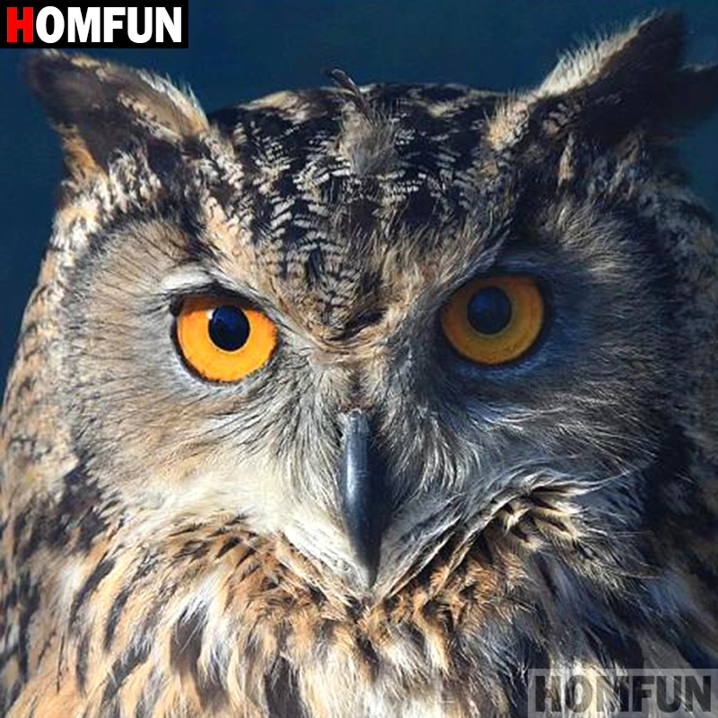 HOMFUN 5D DIY Diamond Painting Full Square/Round Drill "Animal eagle" 3D Embroidery Cross Stitch gift Home Decor A01626
HOMFUN 5D DIY Diamond Painting Full Square/Round Drill "Animal eagle" 3D Embroidery Cross Stitch gift Home Decor A01626