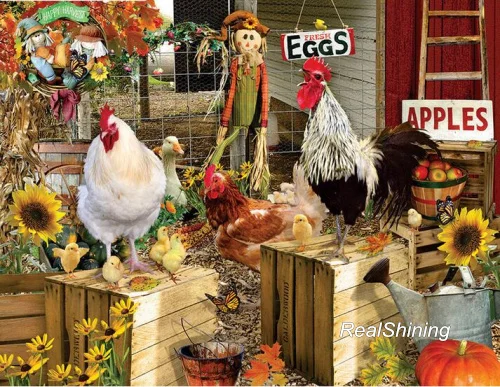 chicken family(1)