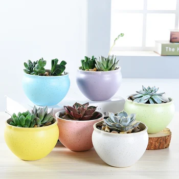 6pcs Succulent Pot Bonsai Pot Flower Pot Succulent Plant Planter Resin Flowerpot Home Garden Decor
6pcs Succulent Pot Bonsai Pot Flower Pot Succulent Plant Planter Resin Flowerpot Home Garden Decor