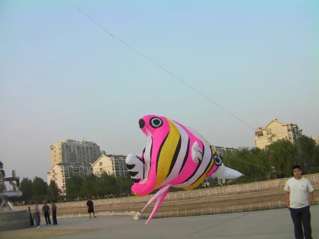 fun factory large kite cerf volant kite flying vlieger sea monsters toys ripstop nylon kites for adults soft kite children bar
fun factory large kite cerf volant kite flying vlieger sea monsters toys ripstop nylon kites for adults soft kite children bar